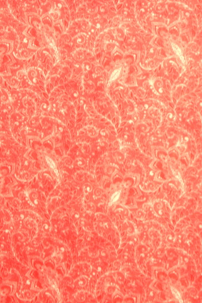 Guava Paisley Printed Cotton - Extra Wide