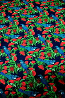 Tuis in Pohutukawa Kiwiana Cotton - Navy Background