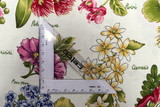 Flowers of Aotearoa Cotton