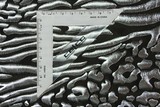 Silver Foil Animal Print on Black Trilobal Knit