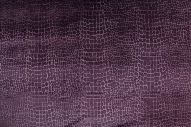 Rum Raisin Crocodile