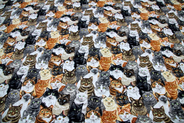 Crowded Cats Premium Cotton New Image
