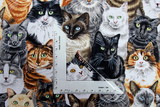 Crowded Cats Premium Cotton New Image