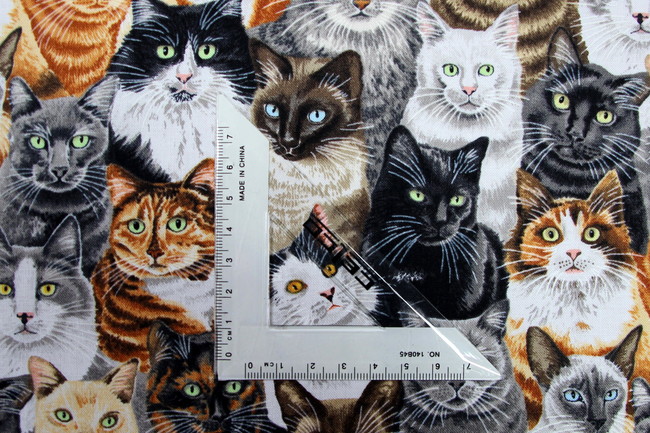 Crowded Cats Premium Cotton New Image
