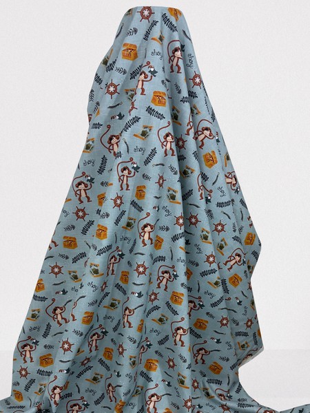 A Pirates Adventure - Ahoy There!