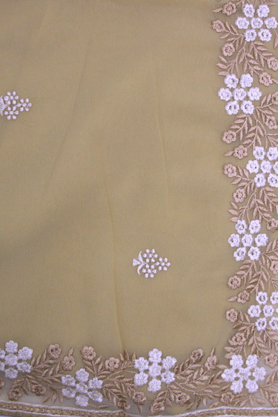 Muted Champagne Embroidered Saree