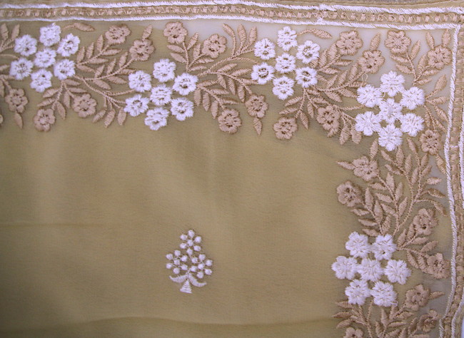Muted Champagne Embroidered Saree