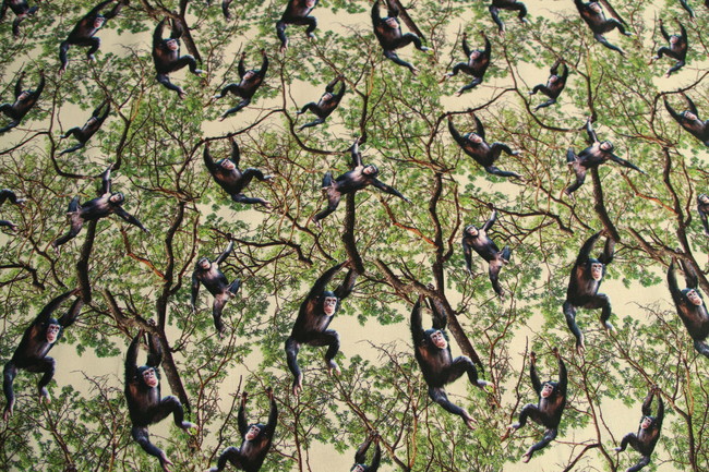 Chimpanzee - African Safari Premium Cotton