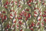 Red Harakeke Printed Kiwiana