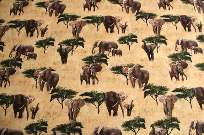 Elephant - African Safari Premium Cotton