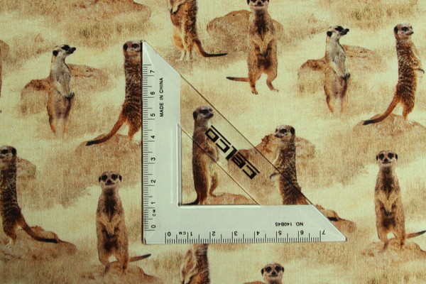 Meerkat - African Safari Premium Cotton