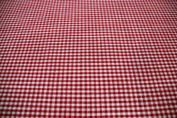 Red & White Mini Gingham Linen Blend